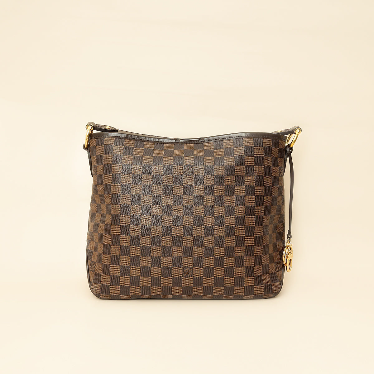 Louis Vuitton Damier Delightful PM Bag