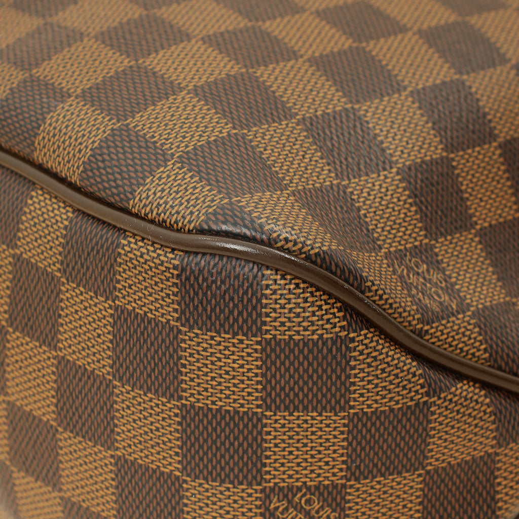 Louis Vuitton Damier Delightful PM Bag
