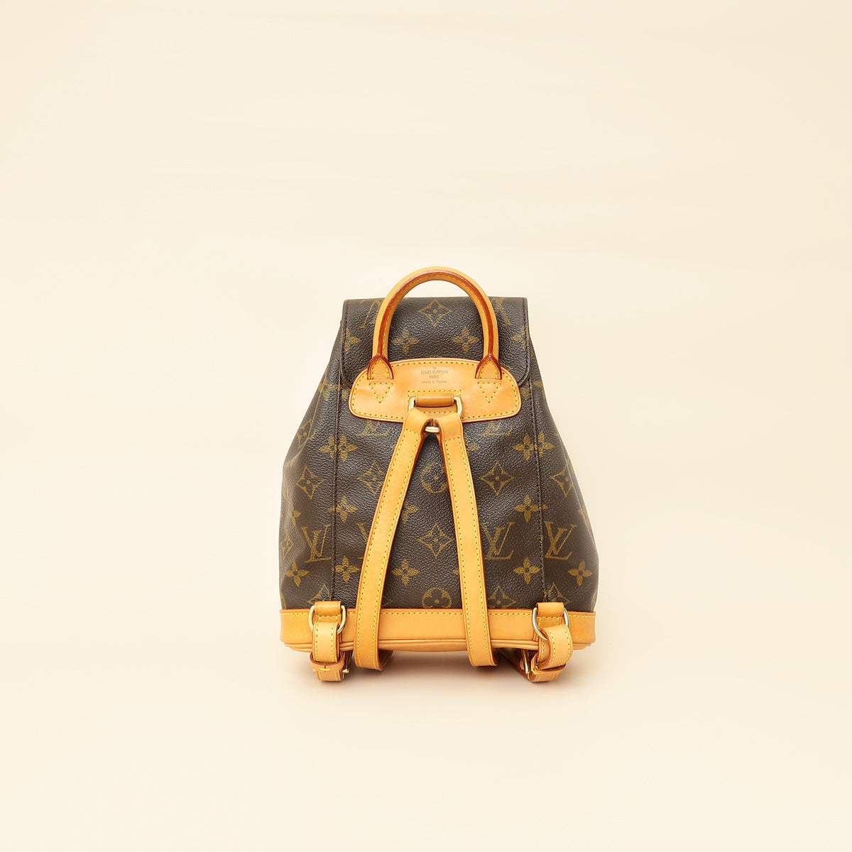 Louis Vuitton Brown Monogram Montsouris Backpack PM Bag