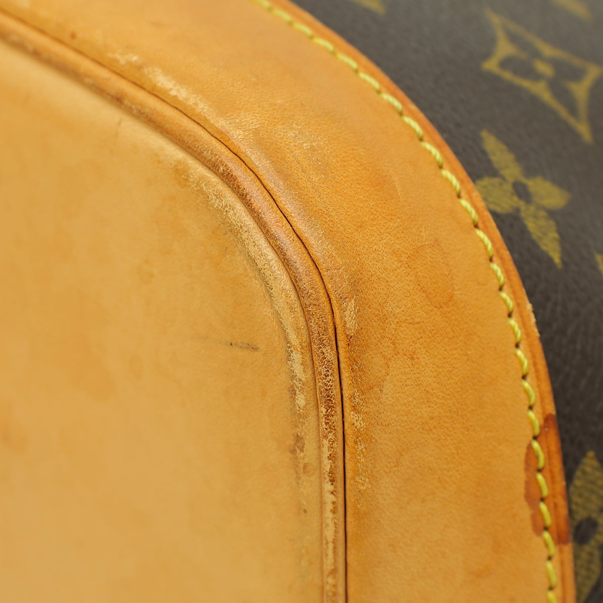 Louis Vuitton Monogram Alma PM Bag