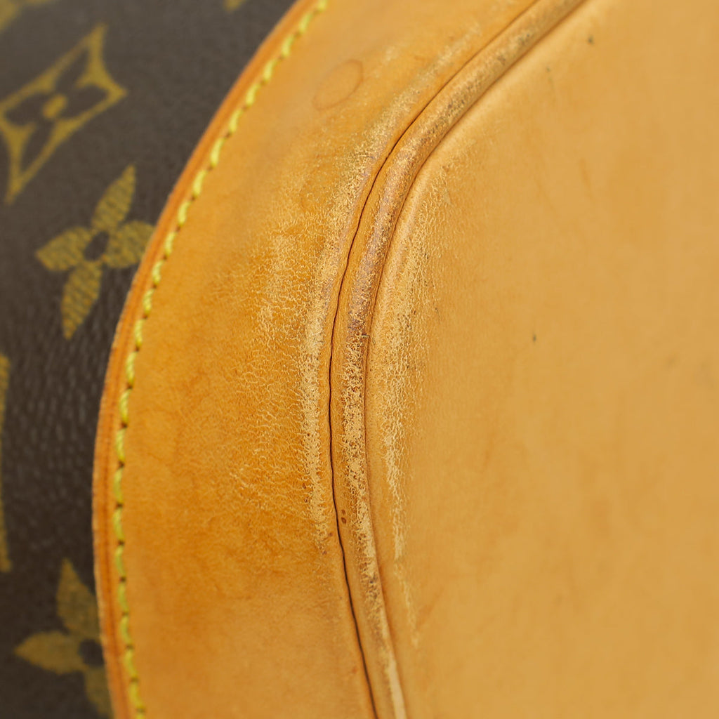 Louis Vuitton Monogram Alma PM Bag