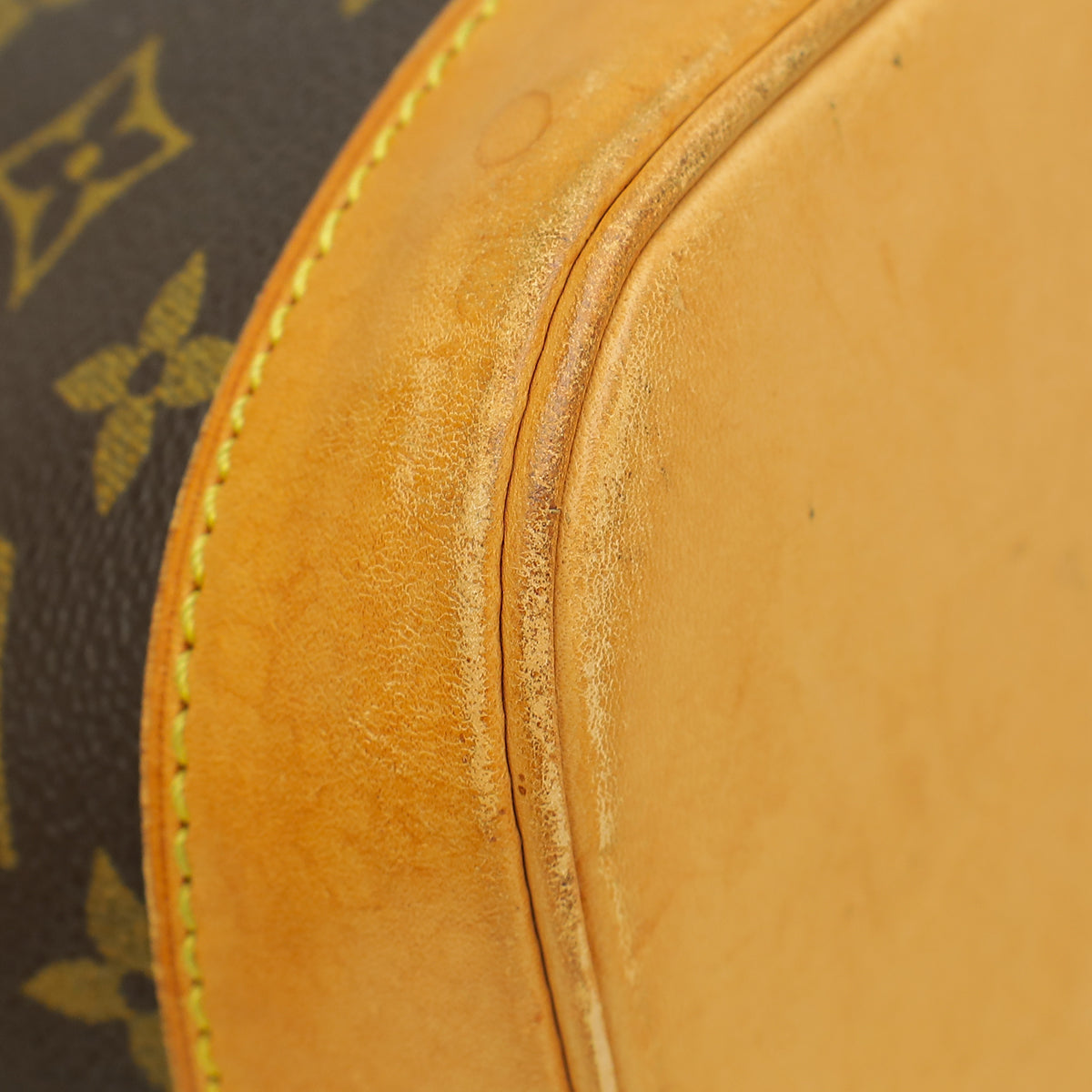 Louis Vuitton Monogram Alma PM Bag