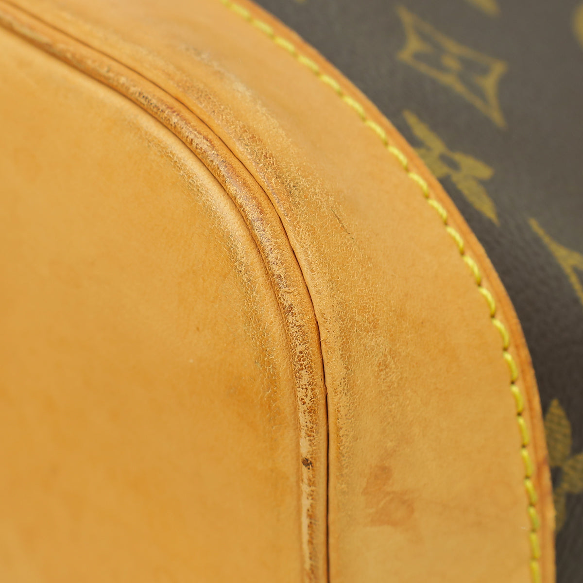 Louis Vuitton Monogram Alma PM Bag