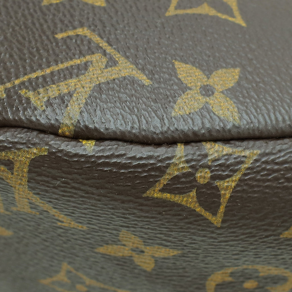 Louis Vuitton Monogram Bumbag
