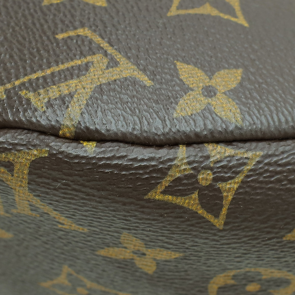 Louis Vuitton Monogram Bumbag
