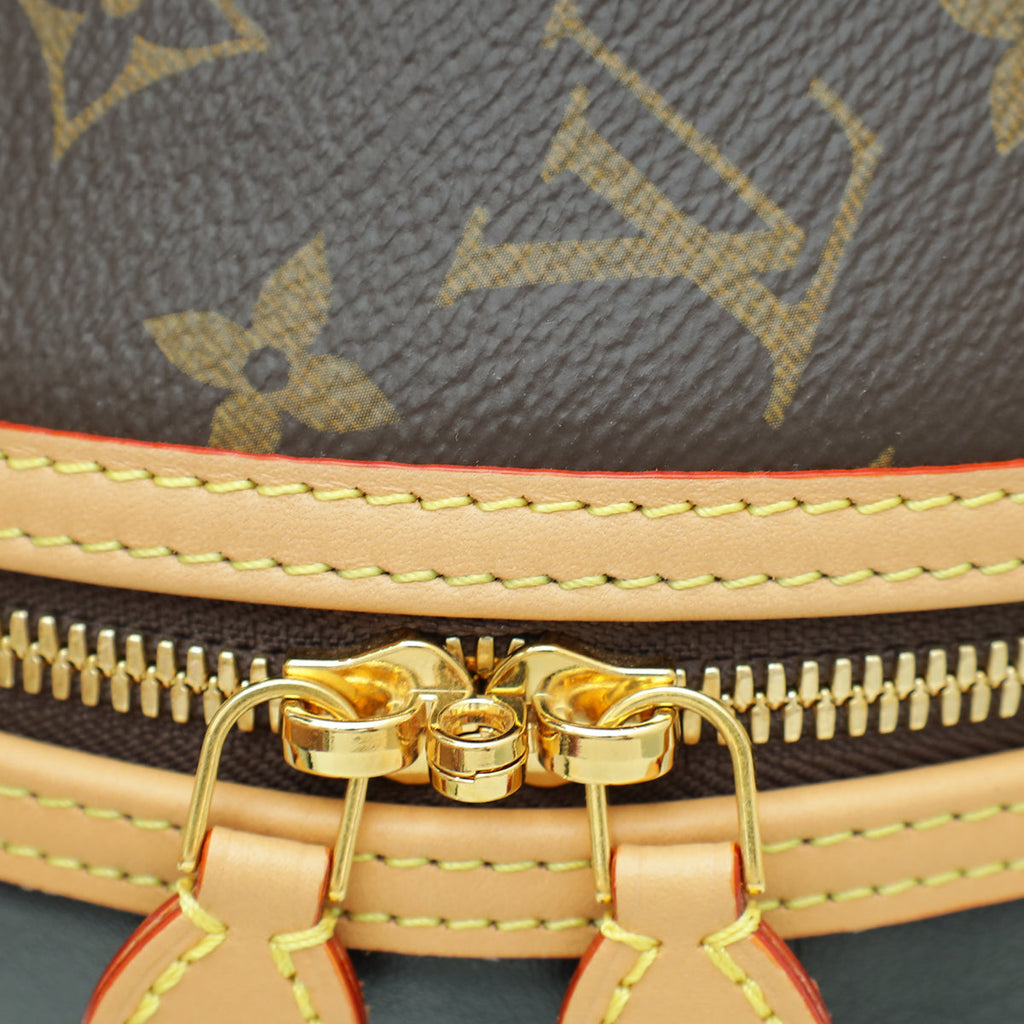 Louis Vuitton Bicolor Monogram/Calf Egg Souple Bag