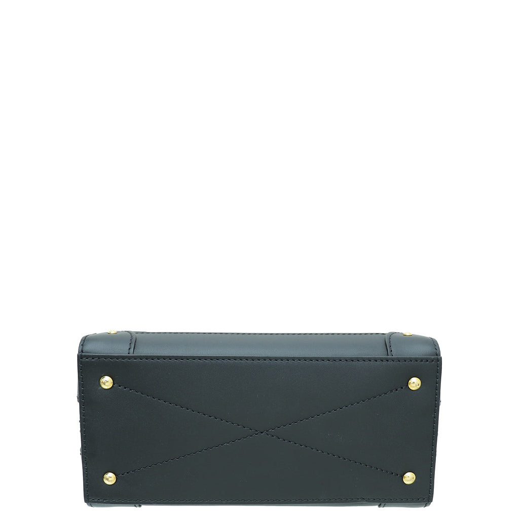 Louis Vuitton Bicolor Monogram Trianon PM Trunk Bag