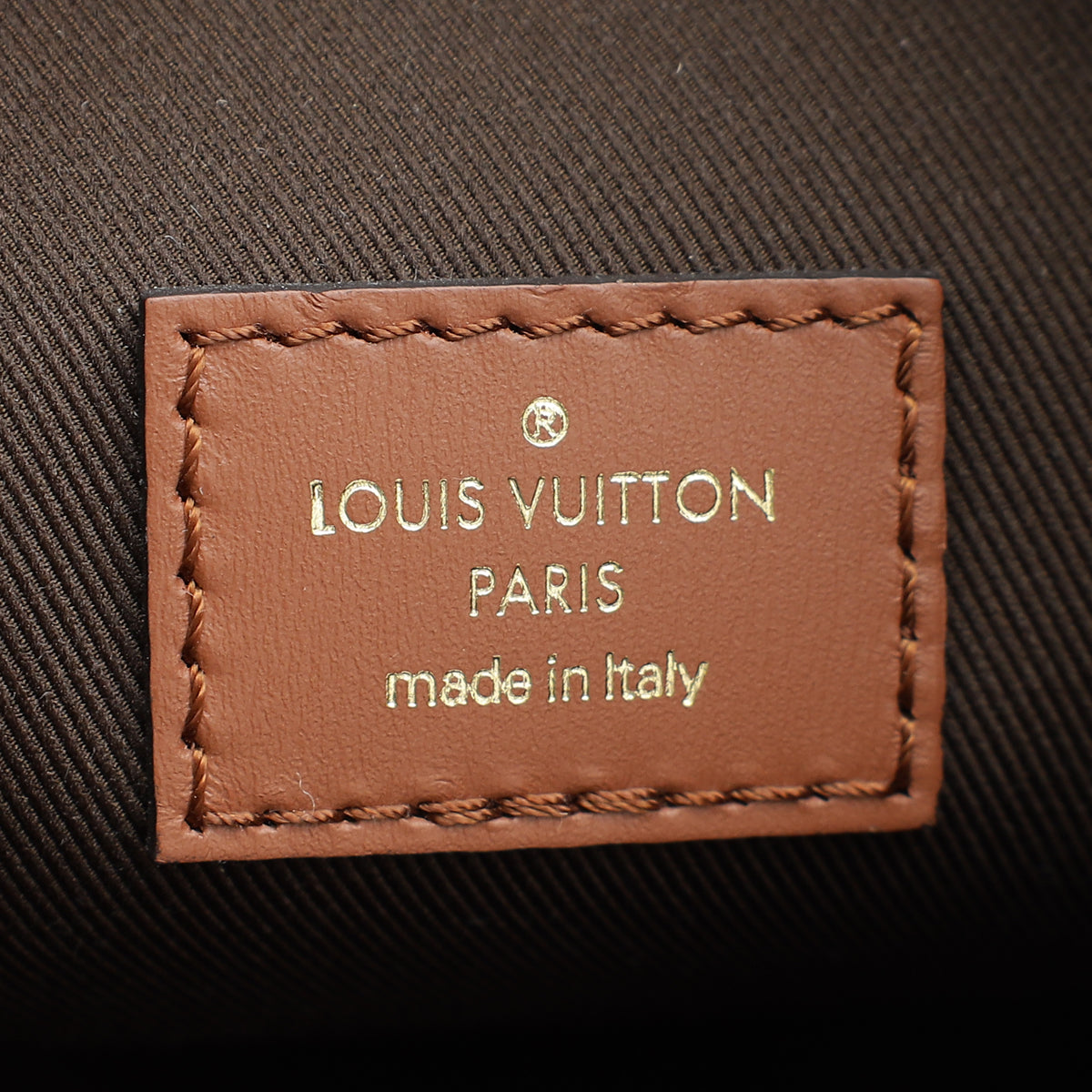 Louis Vuitton Brown Monogram & Monogram Reverse Loop Hobo Bag