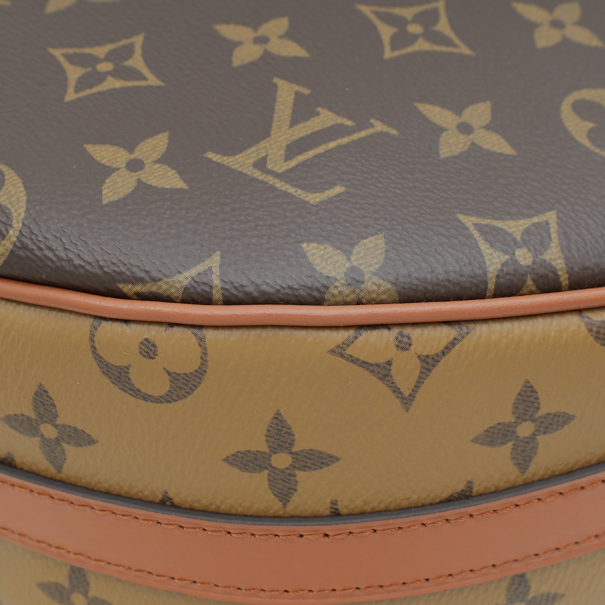 Louis Vuitton Brown Monogram & Monogram Reverse Loop Hobo Bag