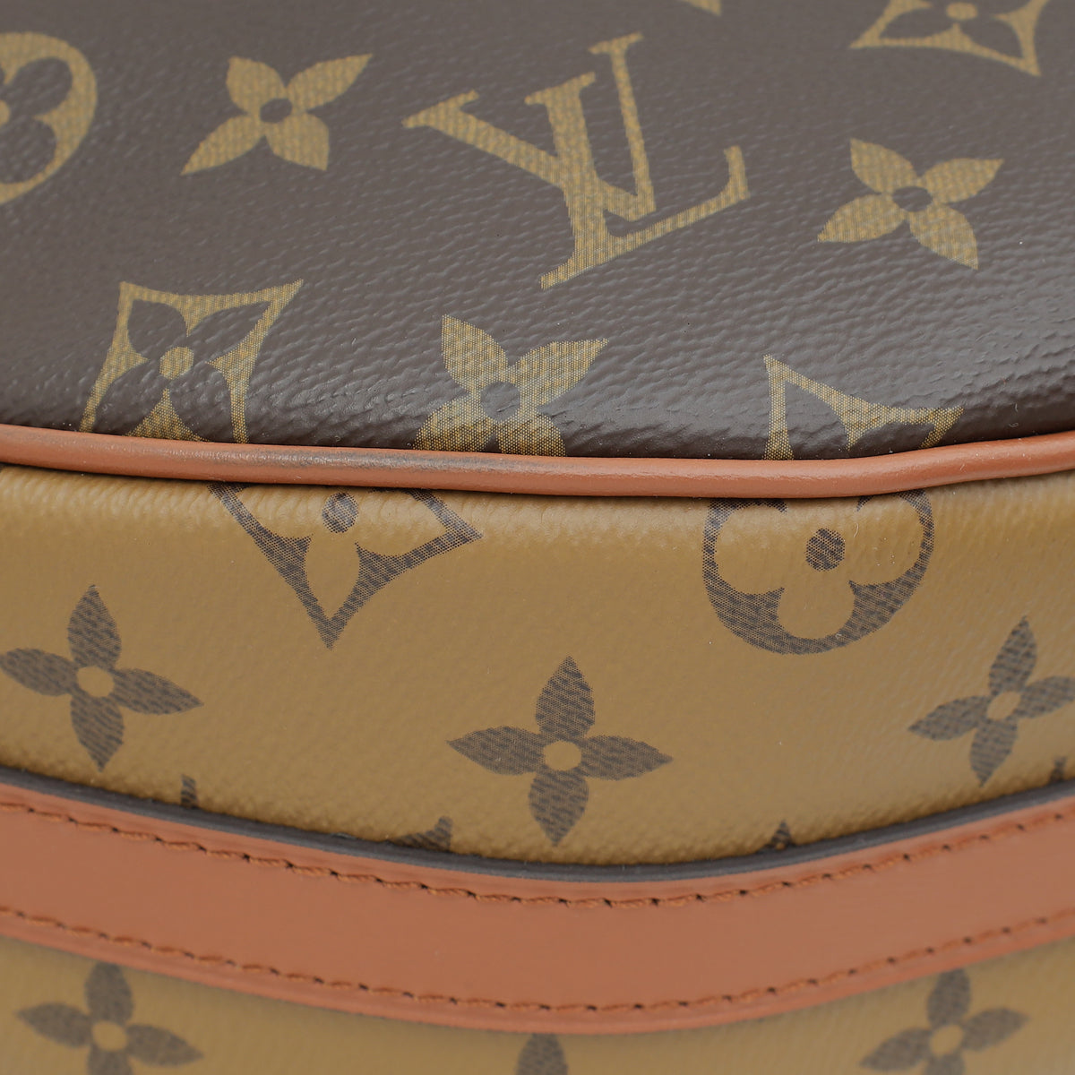 Louis Vuitton Brown Monogram & Monogram Reverse Loop Hobo Bag