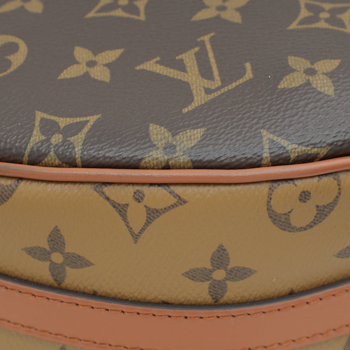 Louis Vuitton Brown Monogram & Monogram Reverse Loop Hobo Bag