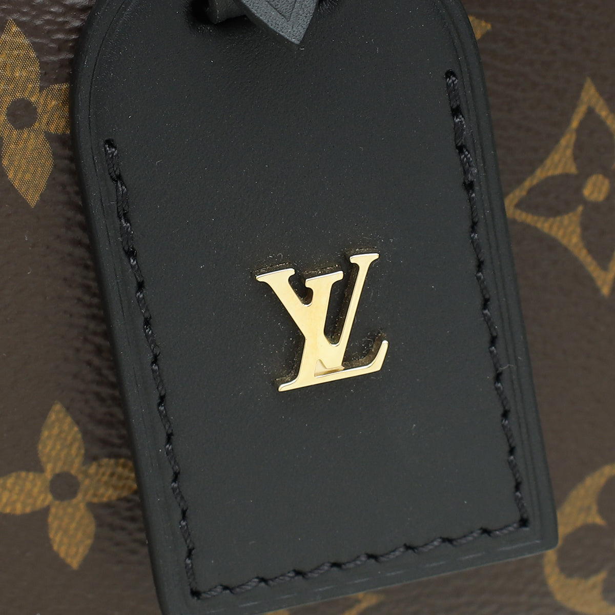 Louis Vuitton Monogram Petite Malle Souple Bag