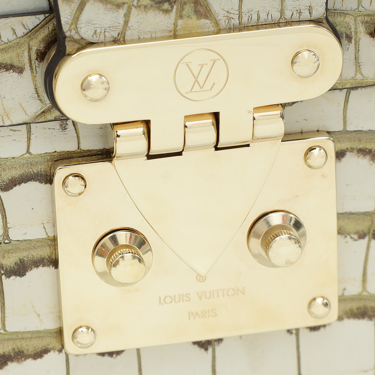 Louis Vuitton Bicolor Alligator Petite Malle Bag