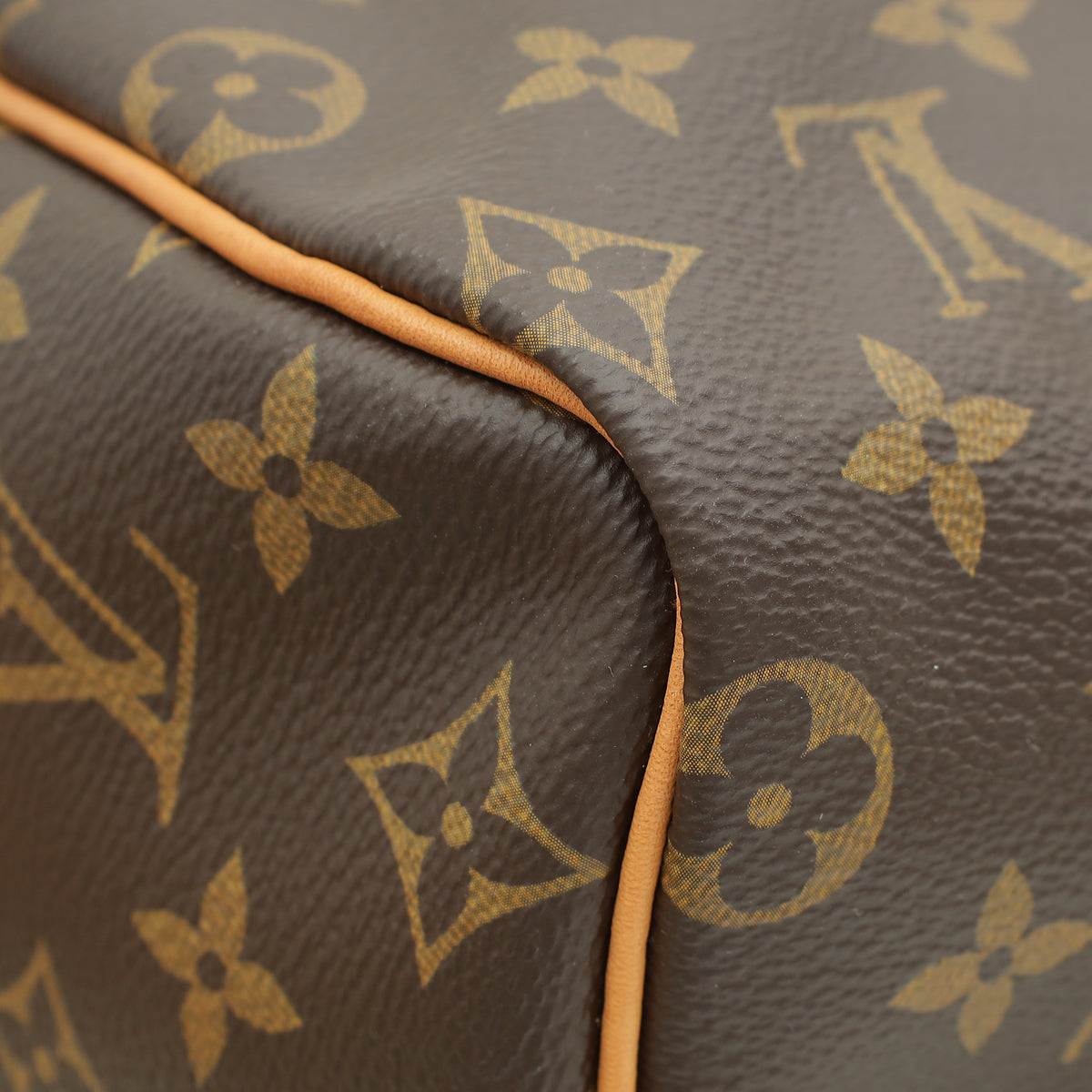 Louis Vuitton Monogram Speedy 25 Bag
