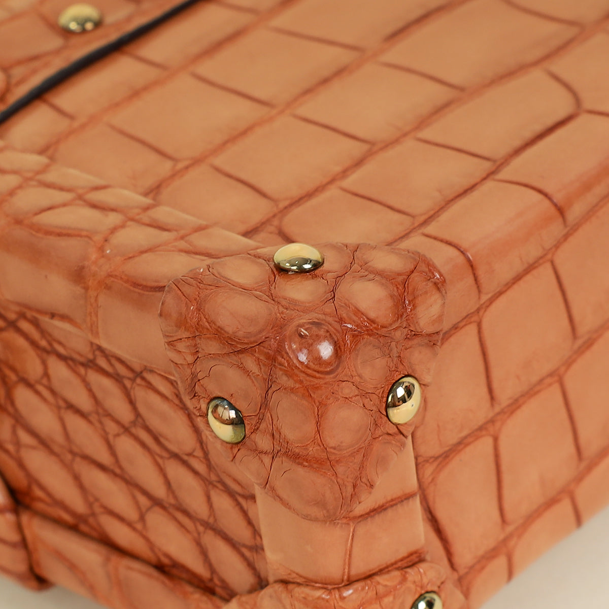Louis Vuitton Light Brown Alligator Petite Malle Bag