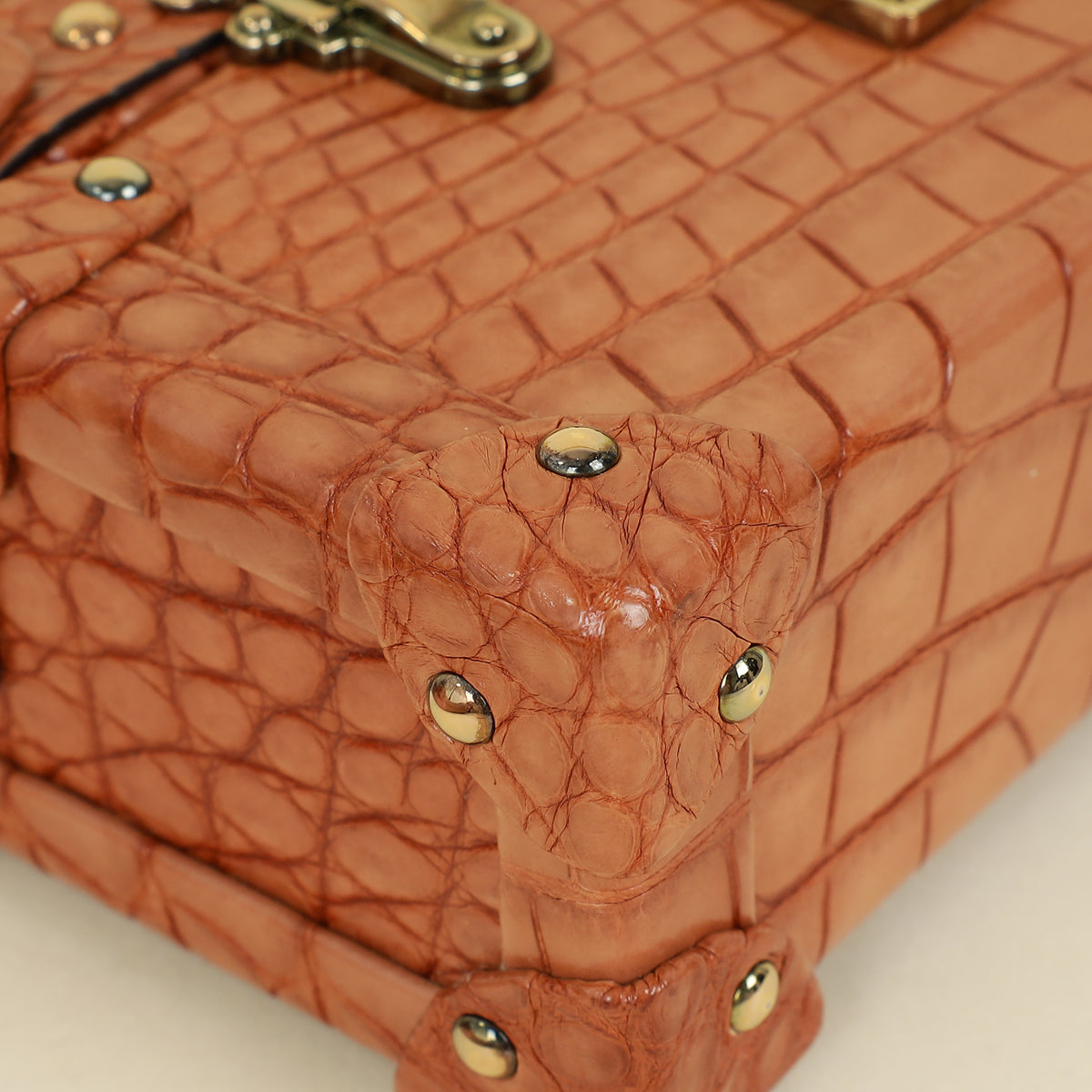 Louis Vuitton Light Brown Petite Malle Alligator Bag