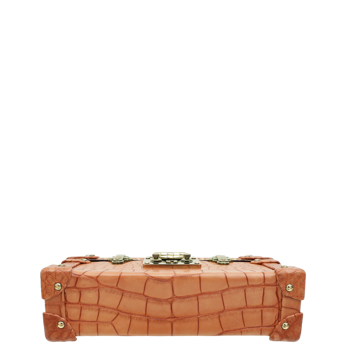 Louis Vuitton Light Brown Alligator Petite Malle Bag