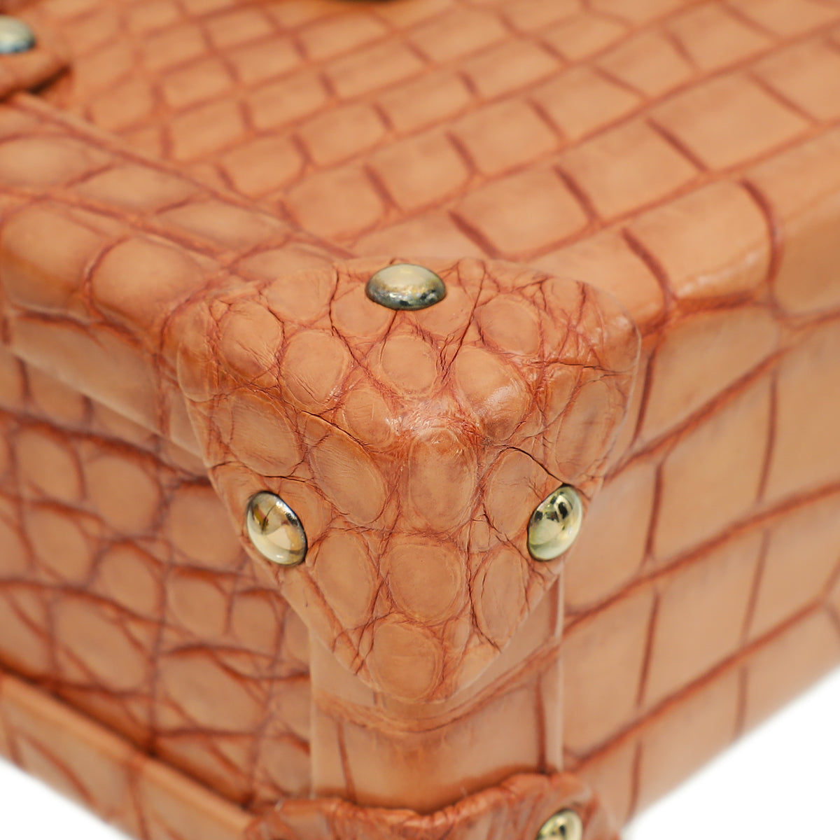 Louis Vuitton Light Brown Alligator Petite Malle Bag