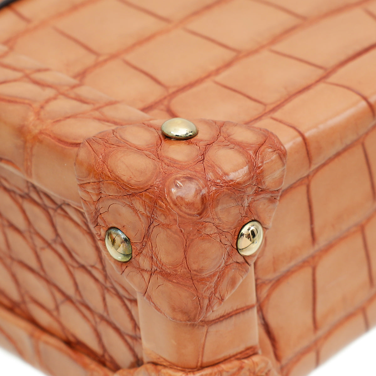 Louis Vuitton Light Brown Alligator Petite Malle Bag