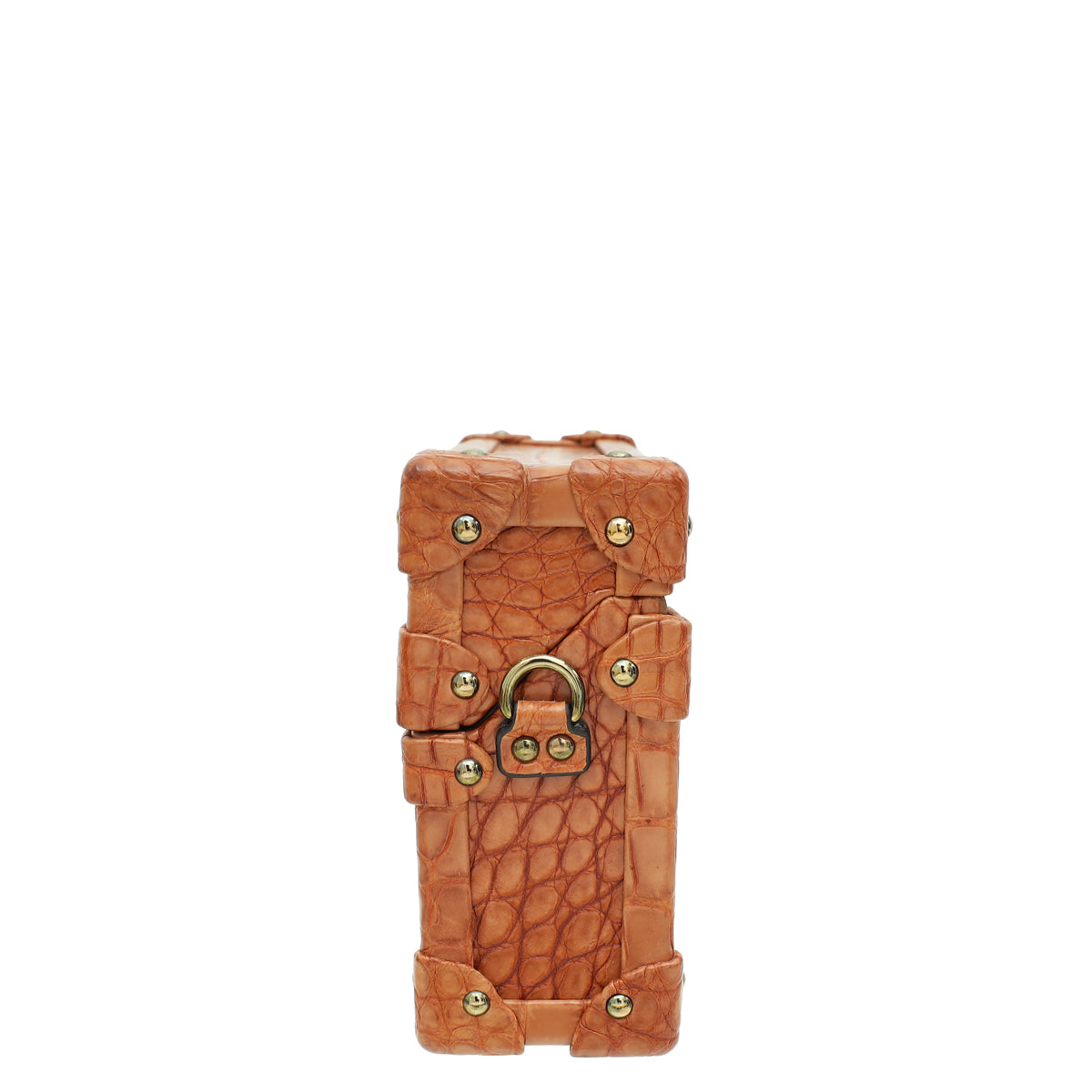 Louis Vuitton Light Brown Alligator Petite Malle Bag