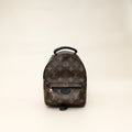 Louis Vuitton Brown Monogram Palm Springs Mini Bag