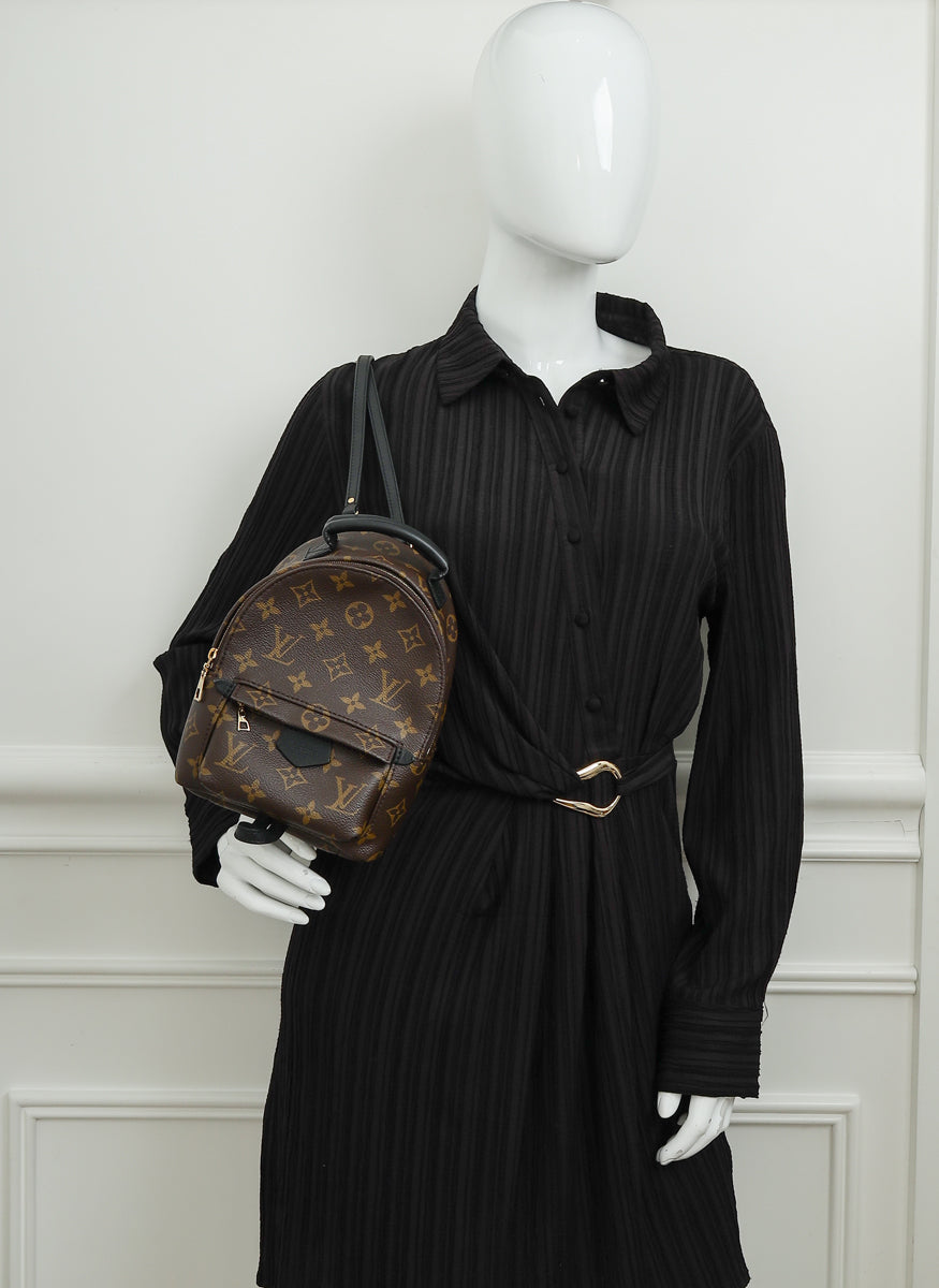 Louis Vuitton Brown Monogram Palm Springs Mini Bag