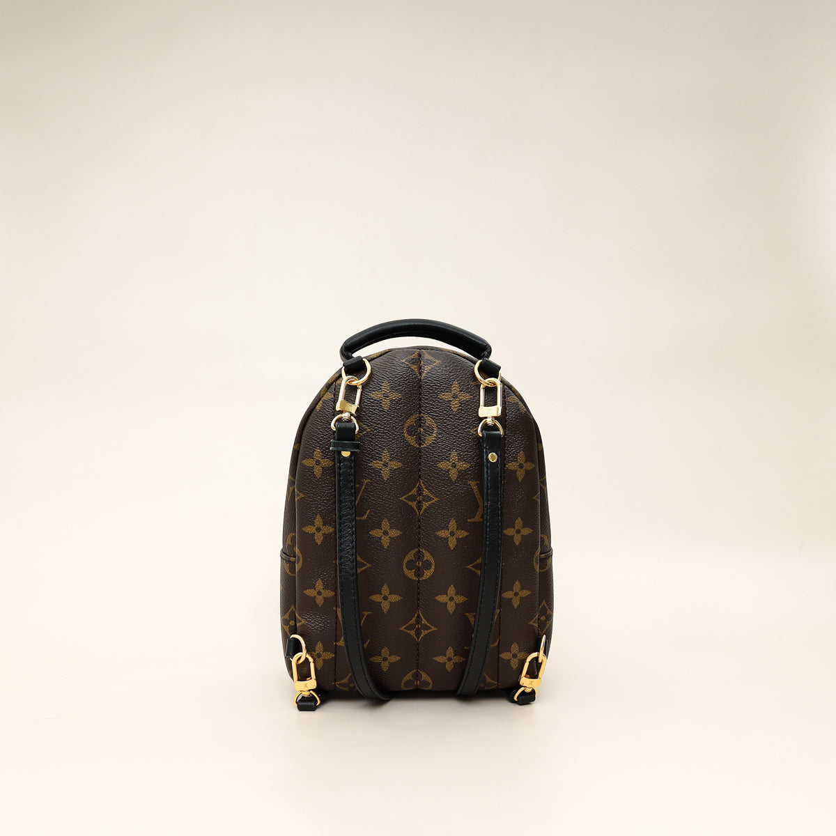 Louis Vuitton Brown Monogram Palm Springs Mini Bag