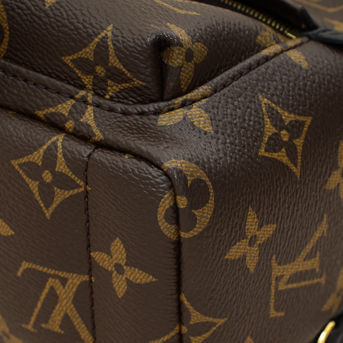 Louis Vuitton Brown Monogram Palm Springs Mini Bag