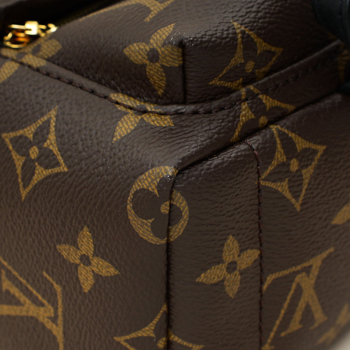 Louis Vuitton Brown Monogram Palm Springs Mini Bag