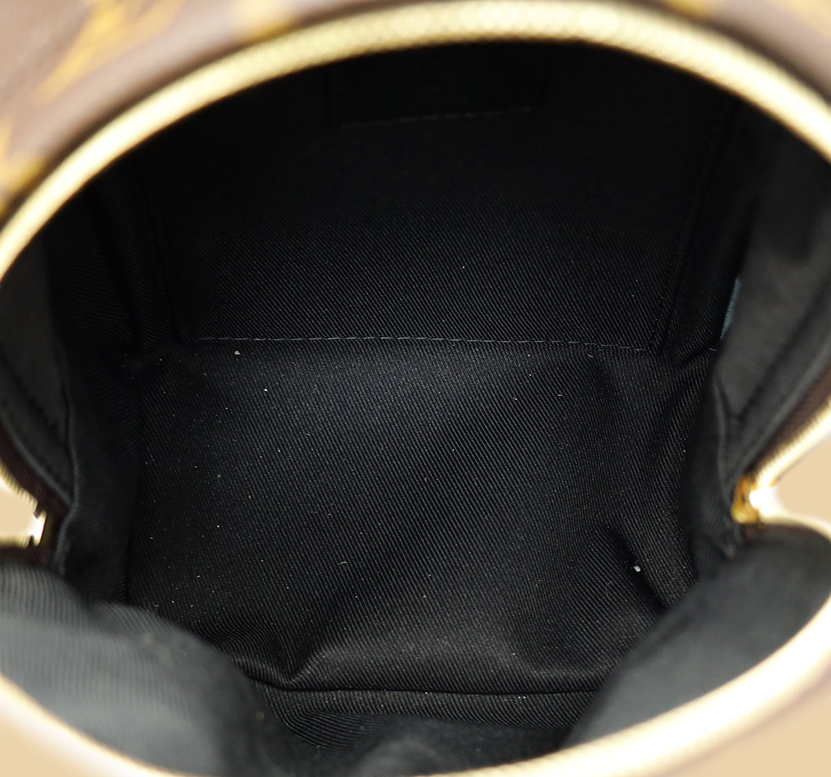 Louis Vuitton Brown Monogram Palm Springs Mini Bag