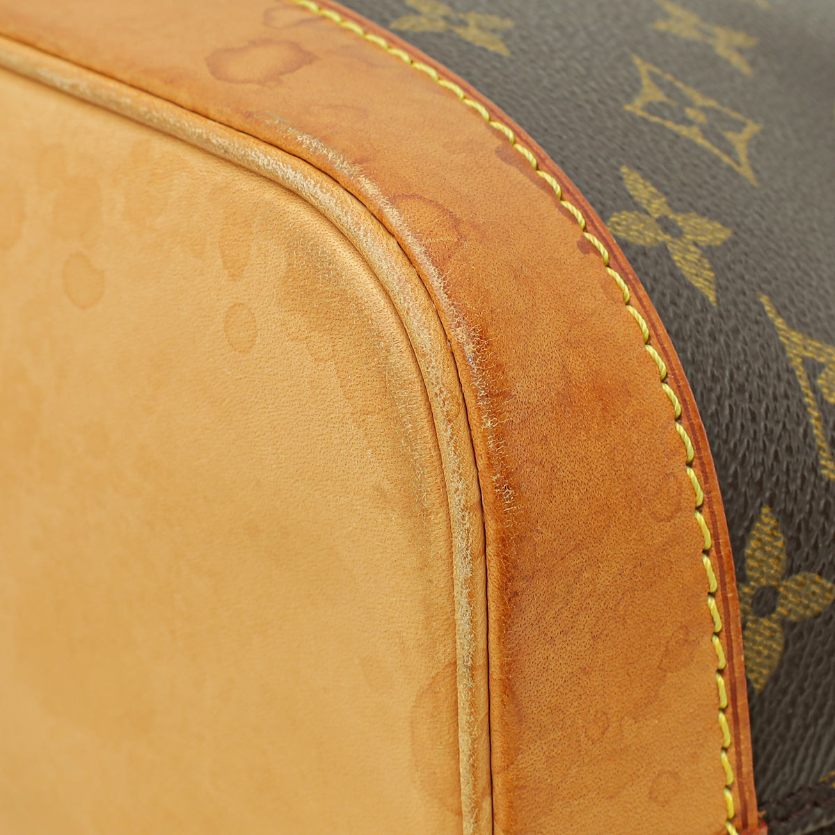 Louis Vuitton Brown Monogram Alma PM Bag