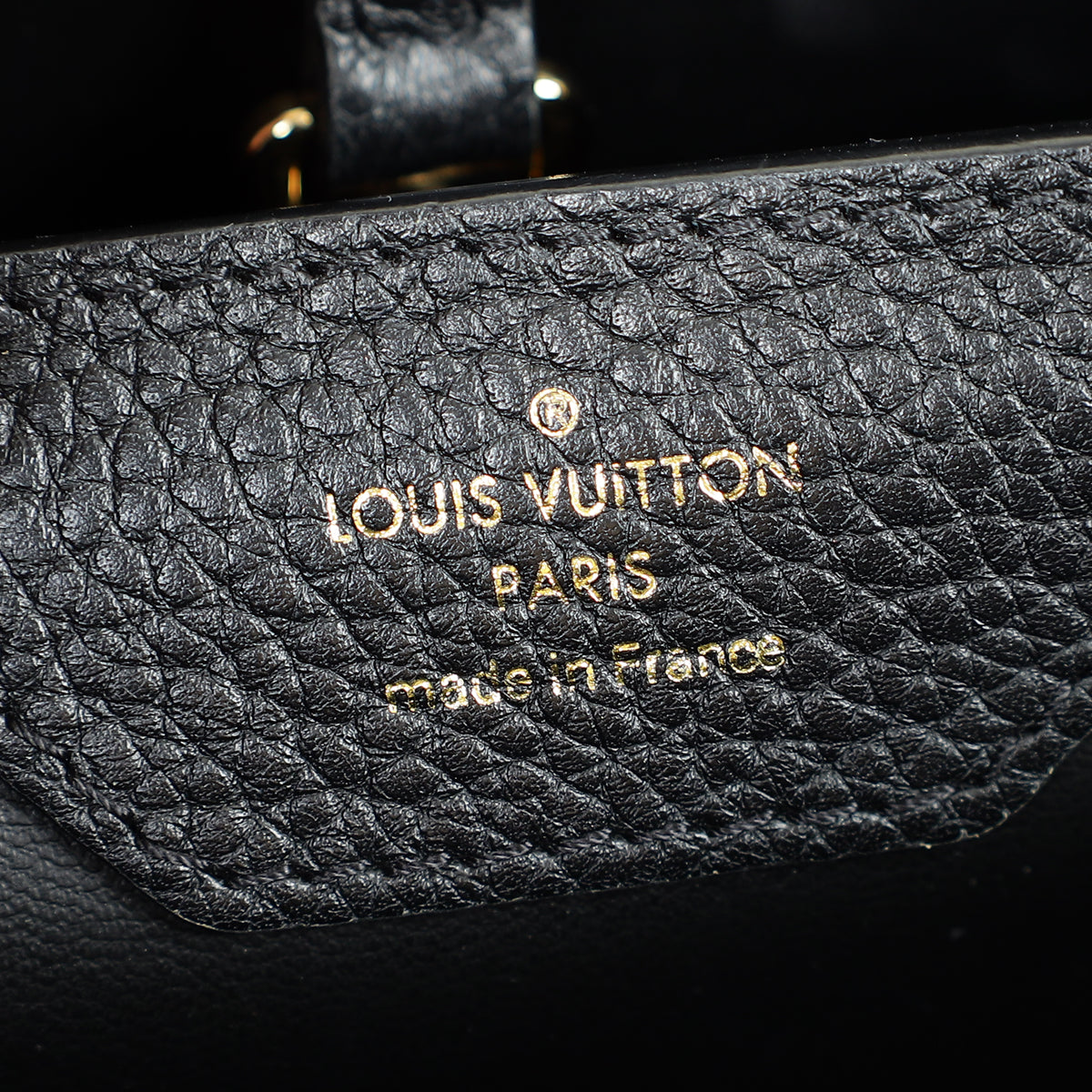 Louis Vuitton Black Capucines Flower Edges MM Bag