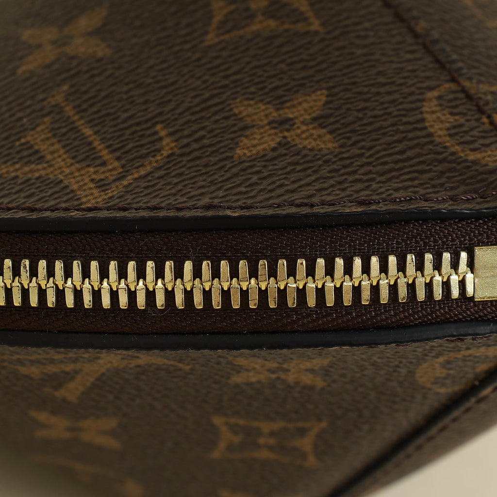 Louis Vuitton Brown Monogram Toupie Bag