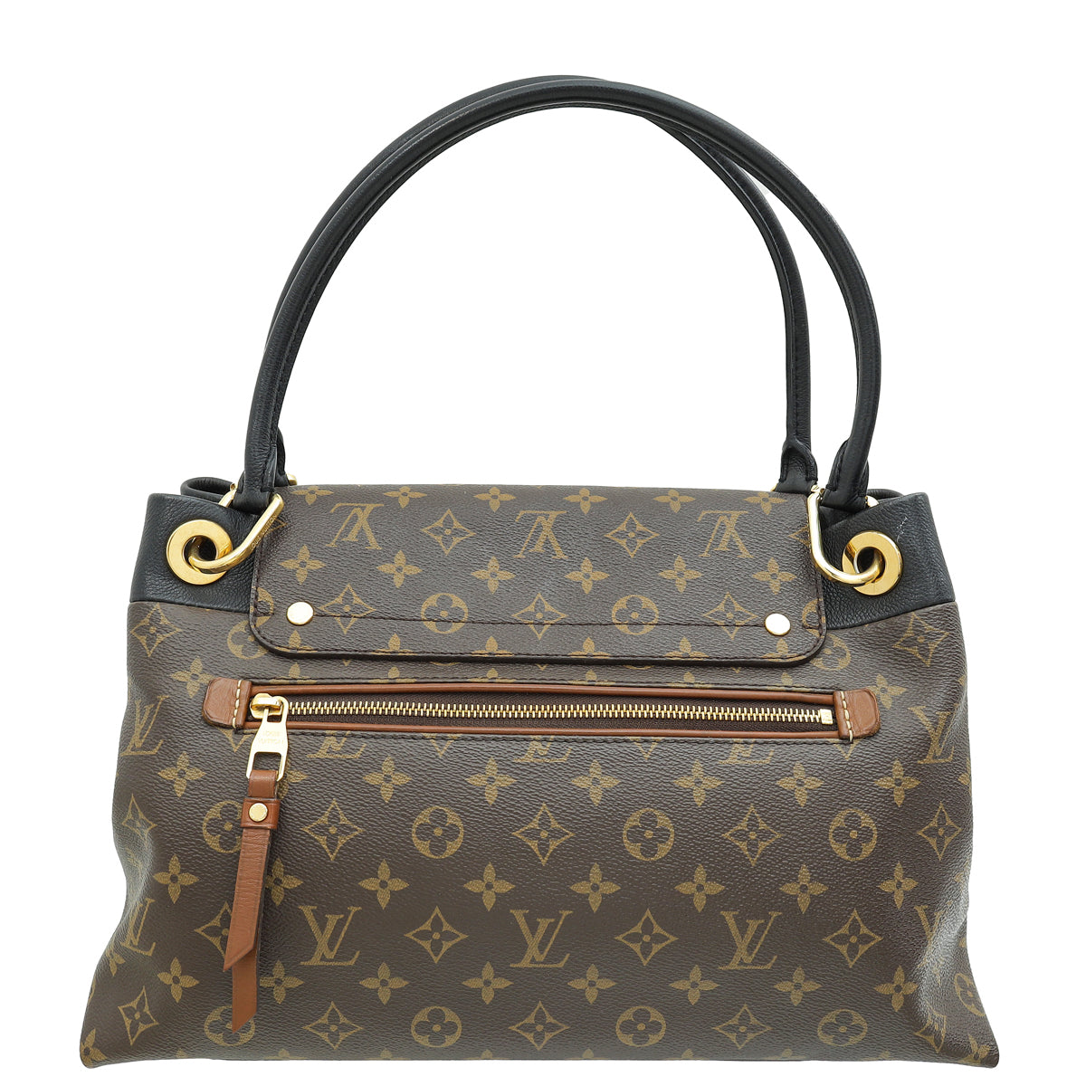 Louis Vuitton Bicolor Olympe Bag
