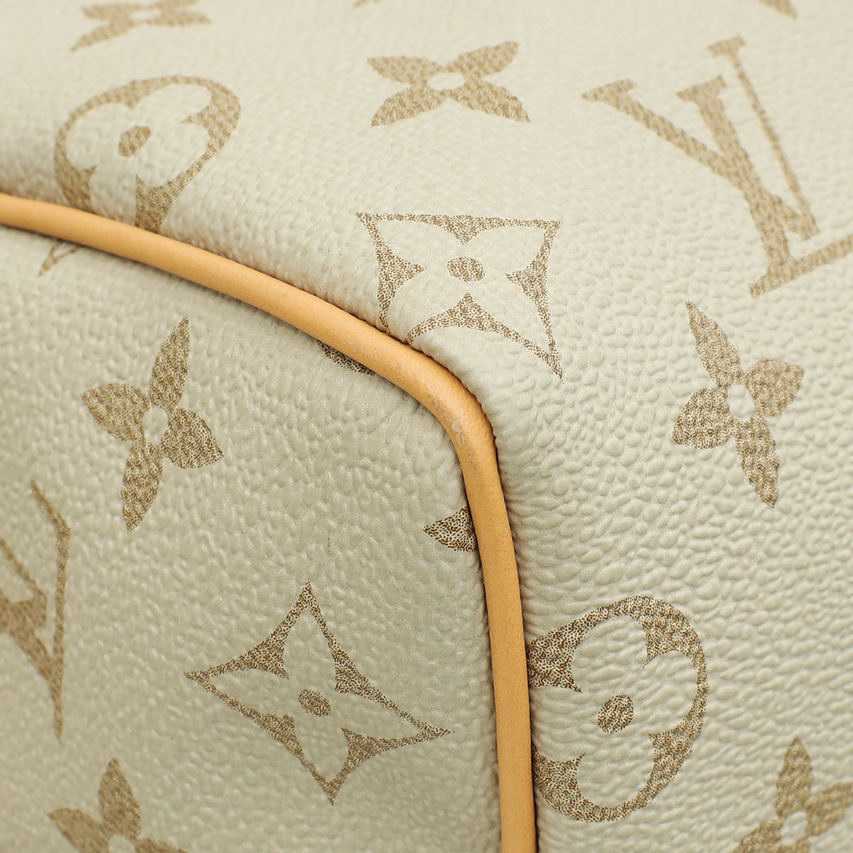 Louis Vuitton Beige Ocher Monopaname Speedy Bandouliere 25 Bag