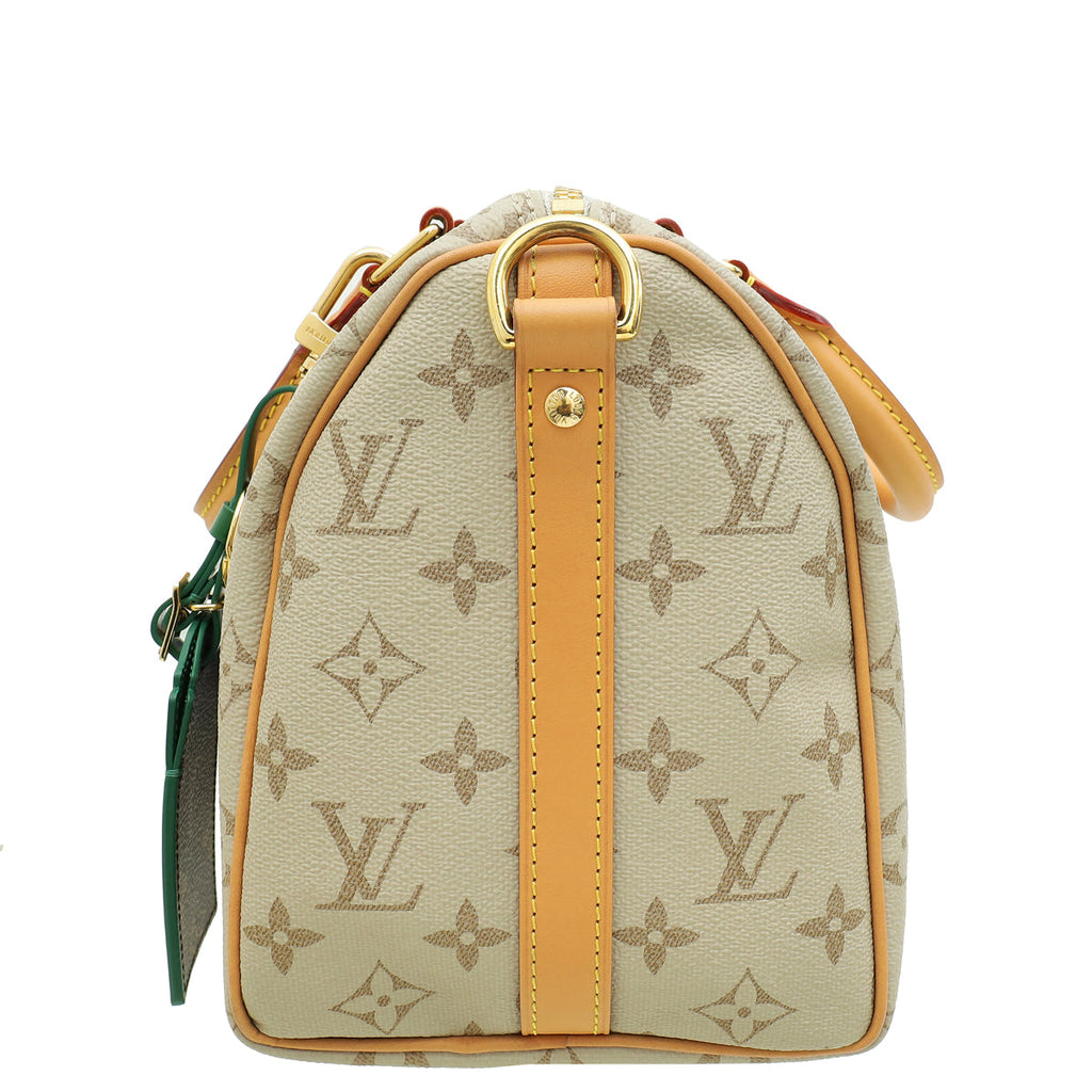 Louis Vuitton Beige Ocher Monopaname Speedy Bandouliere 25 Bag