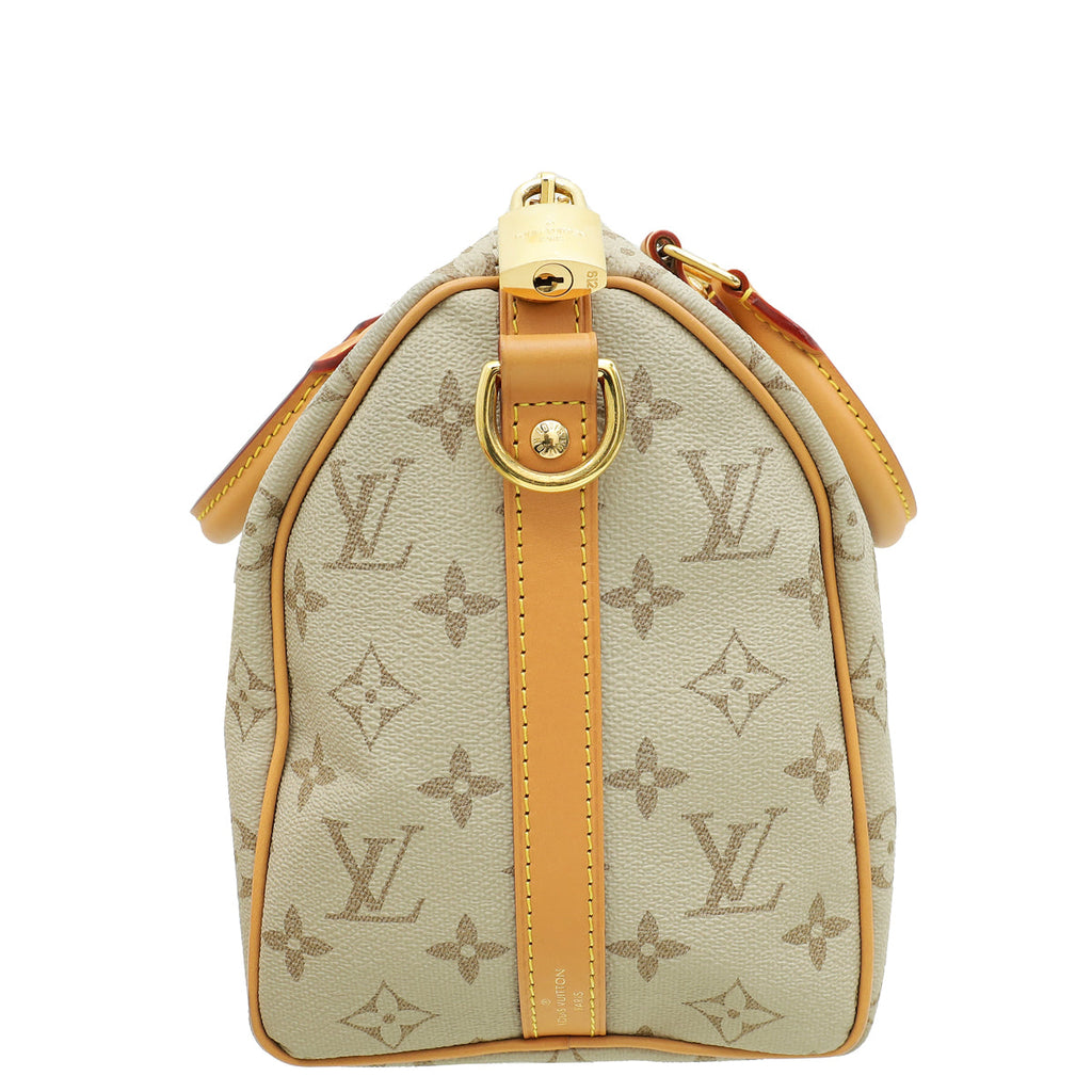 Louis Vuitton Beige Ocher Monopaname Speedy Bandouliere 25 Bag