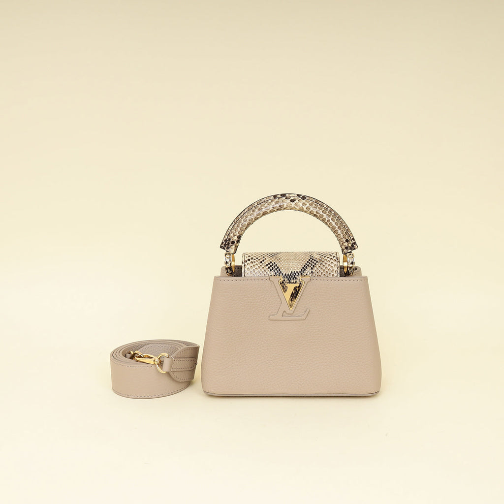 Louis Vuitton Galet Grey Mini Capucines Bag
