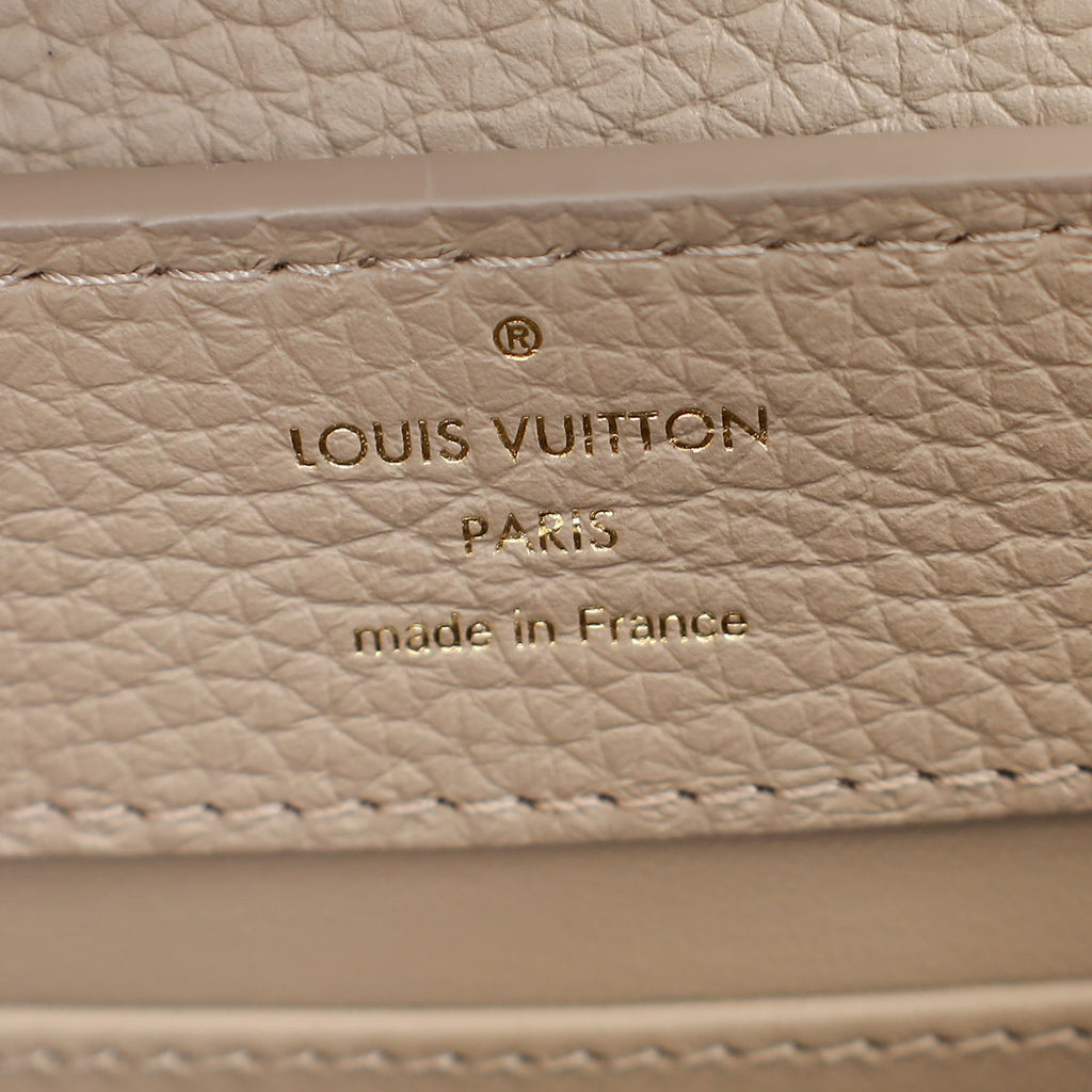 Louis Vuitton Galet Grey Mini Capucines Bag