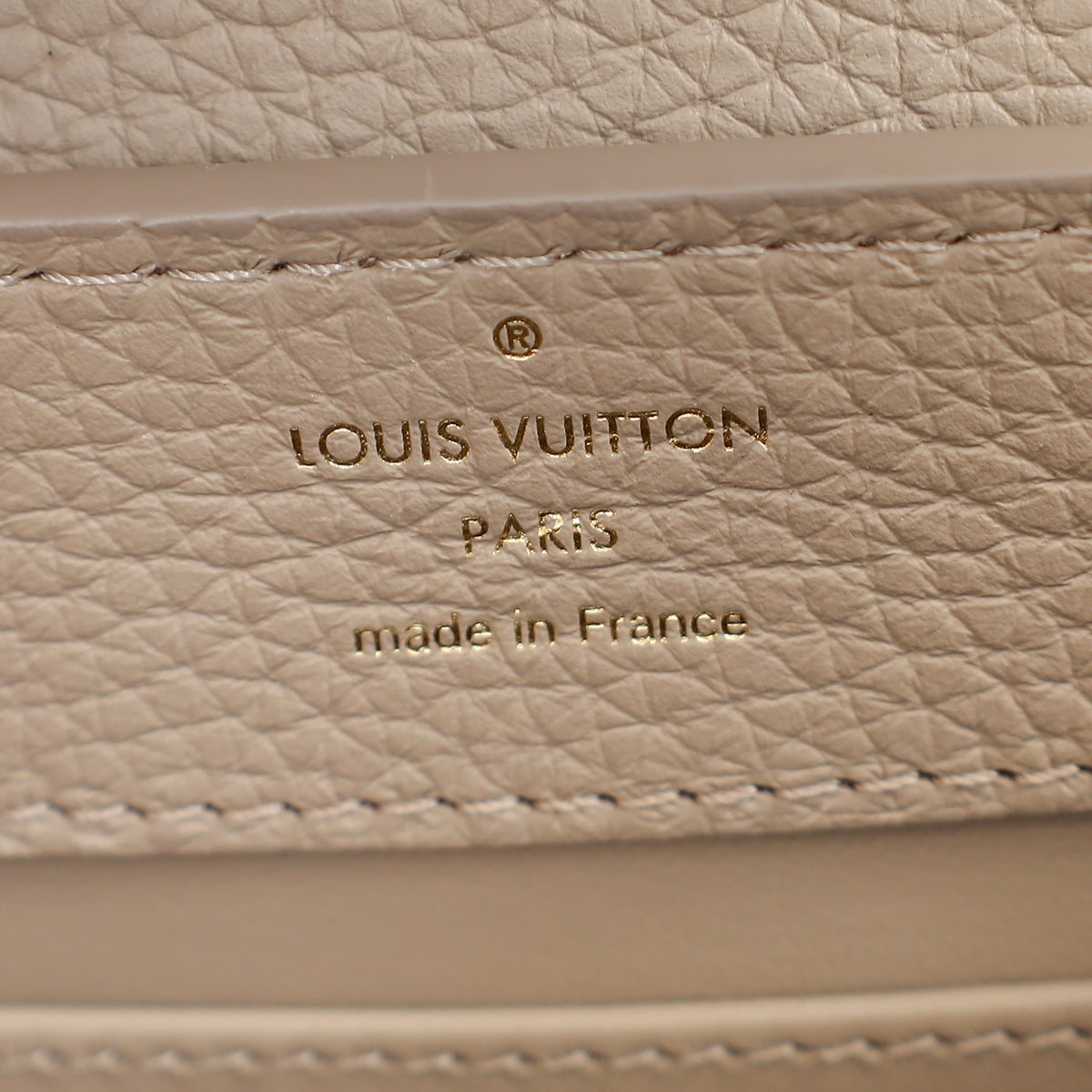 Louis Vuitton Galet Grey Mini Capucines Bag