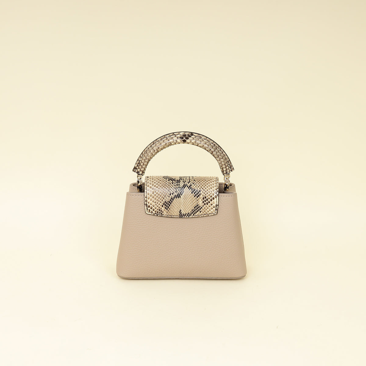Louis Vuitton Galet Grey Mini Capucines Bag
