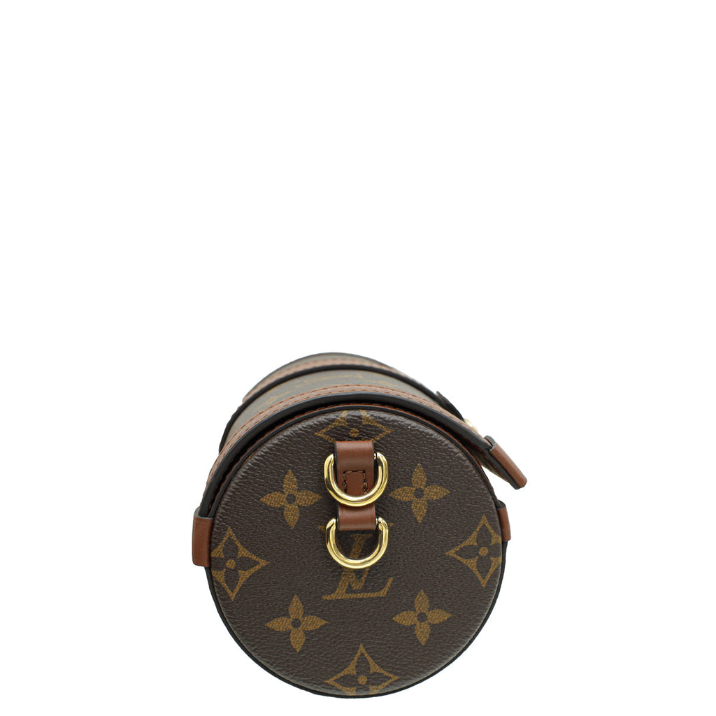 Louis Vuitton Monogram Brown Papillon Trunk Bag