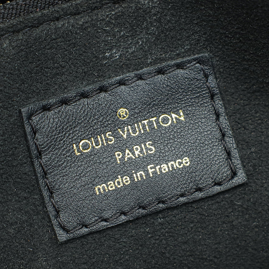 Louis Vuitton Bicolor Monogram Double V Bag