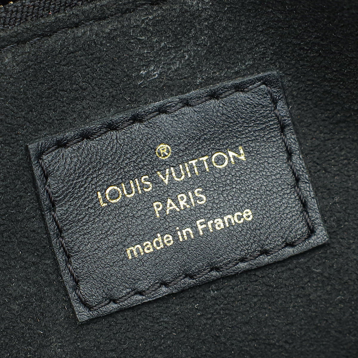 Louis Vuitton Bicolor Monogram Double V Bag