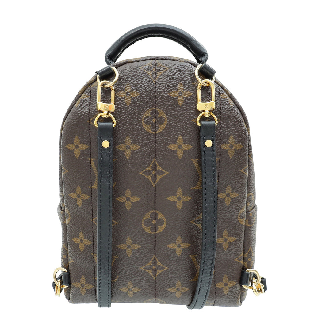 Louis Vuitton Monogram Mini Palm Springs Backpack Bag