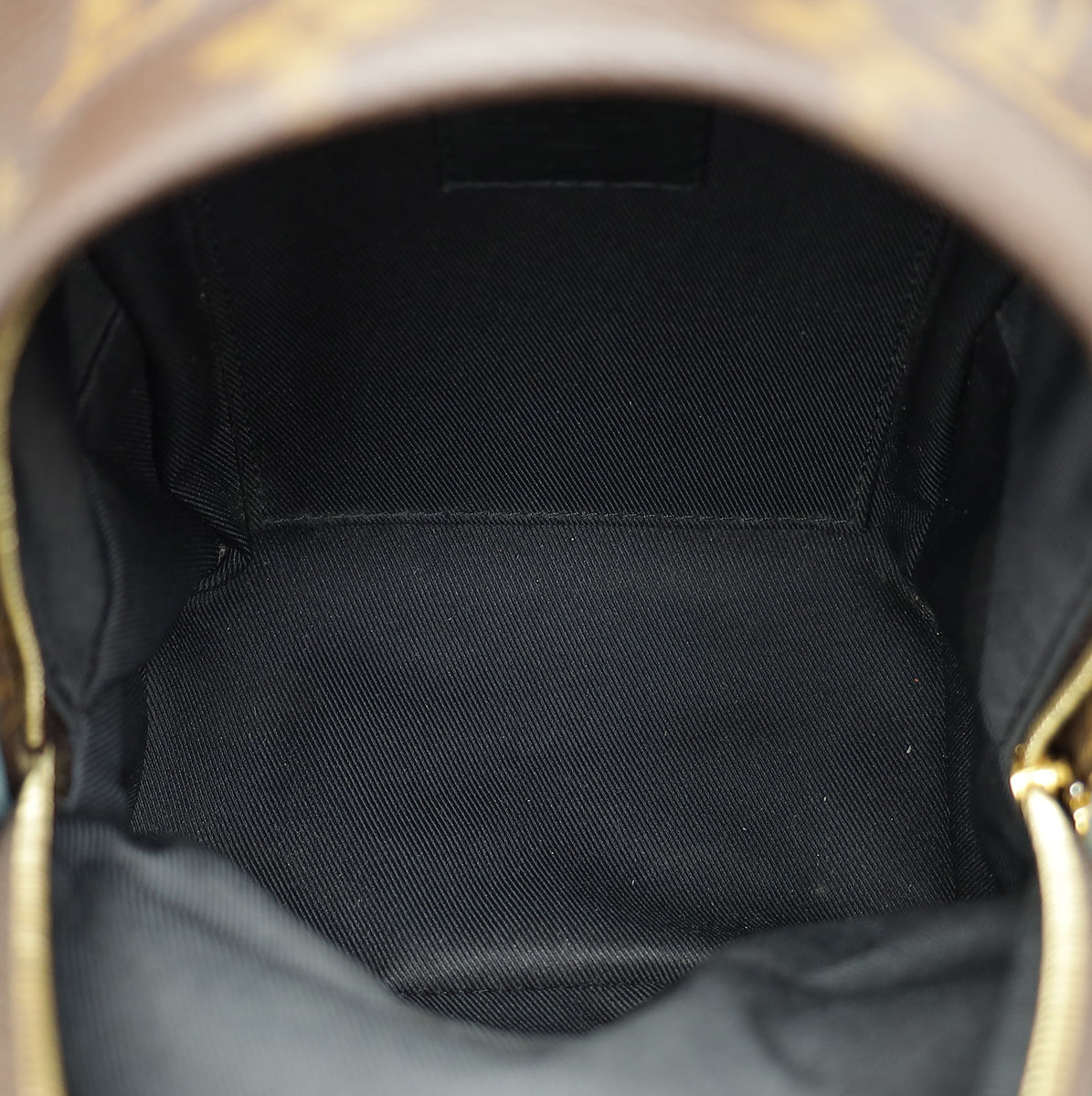 Louis Vuitton Monogram Mini Palm Springs Backpack Bag
