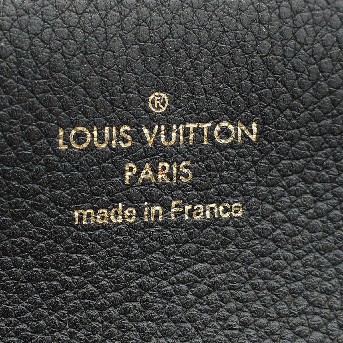 Louis Vuitton Bicolor Monogram Olympe Bag