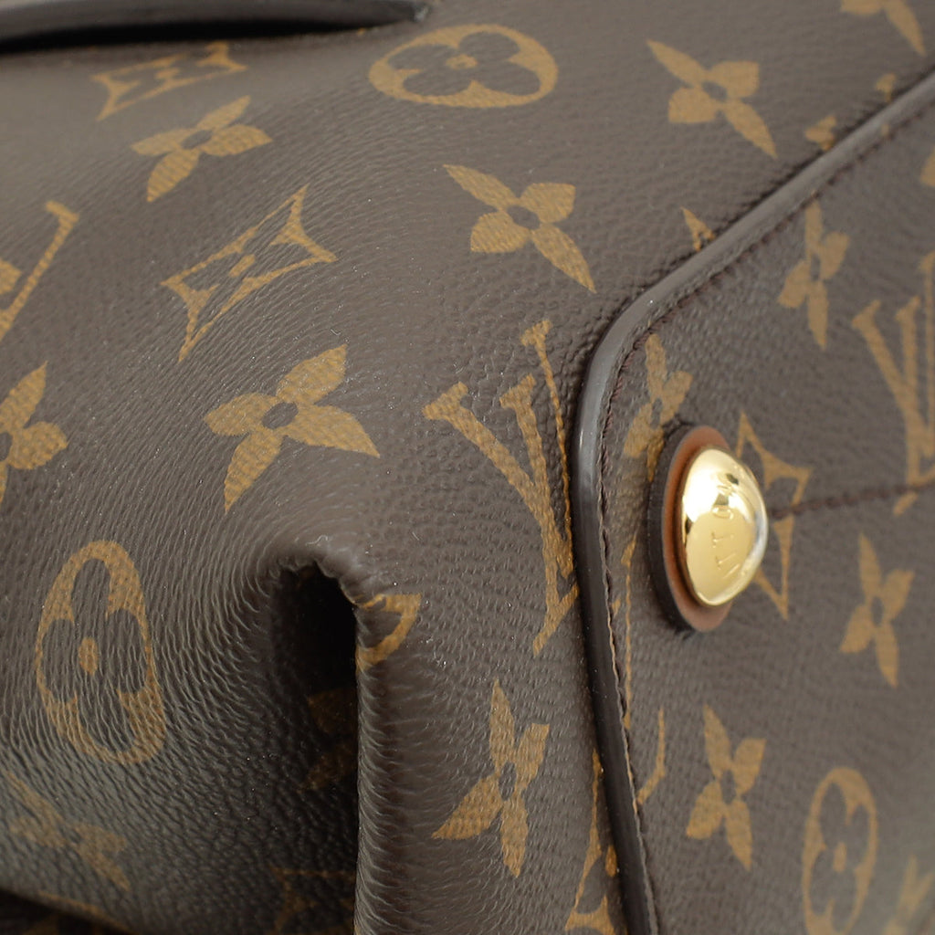 Louis Vuitton Bicolor Monogram Olympe Bag