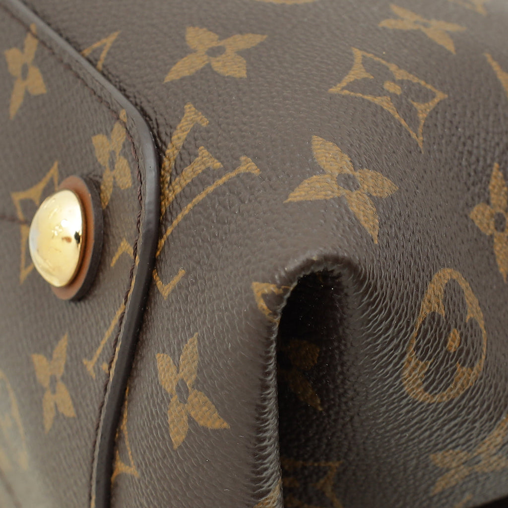 Louis Vuitton Bicolor Monogram Olympe Bag