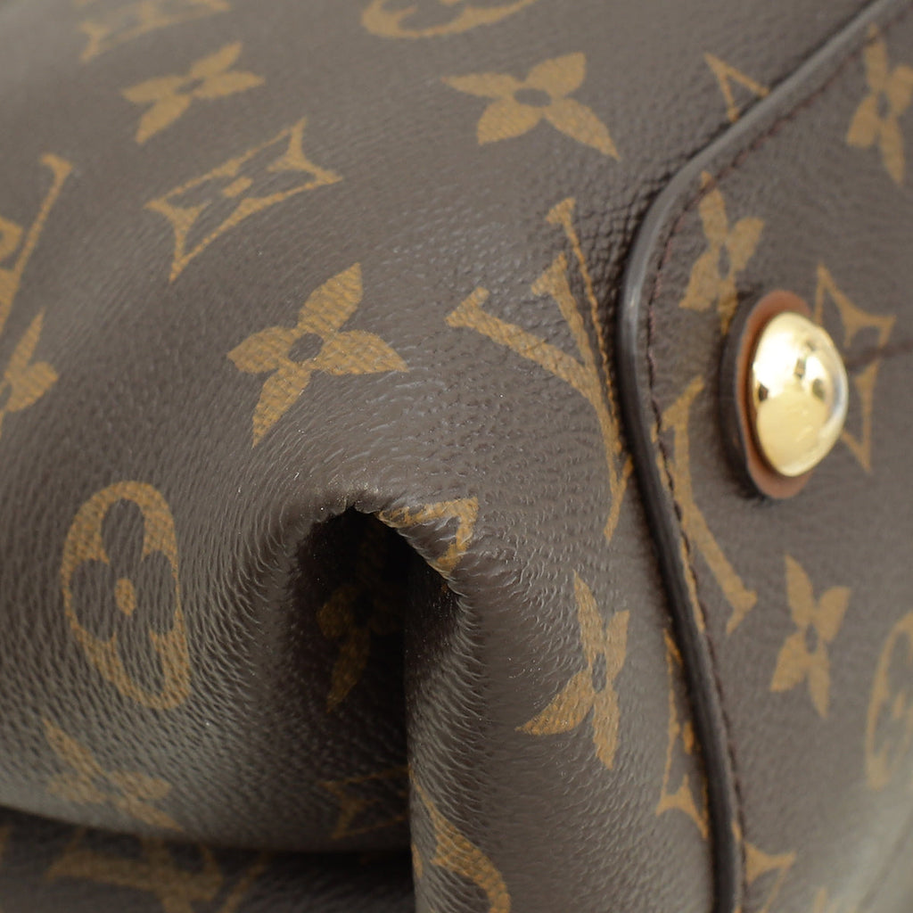 Louis Vuitton Bicolor Monogram Olympe Bag